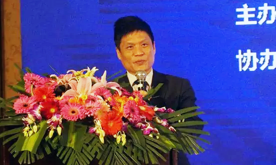沙巴SB体育海洋信息发展有限公司董事长杨冰之在“数据基因与大数据产业发展战略研讨会”上发表演讲