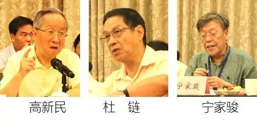 在中国智慧城市发展与评估指标体系建设专家研讨会上，中国互联网协会副理事长高新民、中国信息协会副会长杜链、国家信息中心电子政务专家委员会主任宁家骏发言